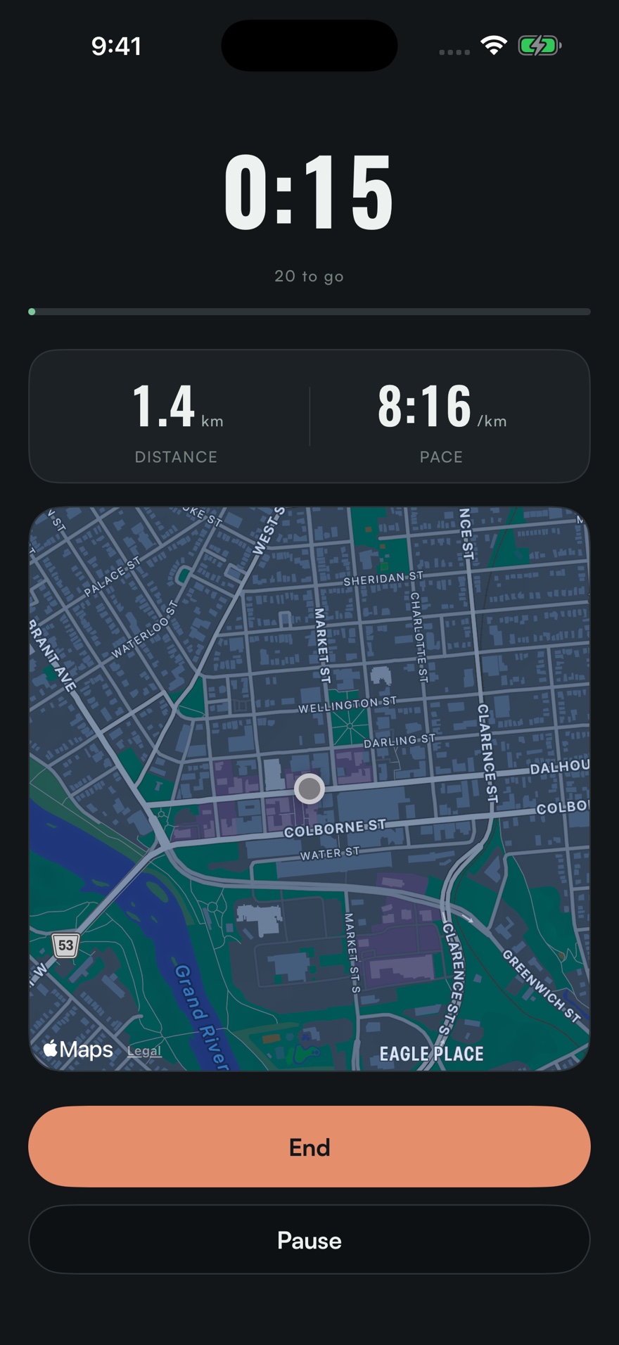 A walk in progress: the elapsed time in large figures, a bar showing progress towards twenty minutes, distance and pace, and the route so far on a map